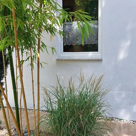 Wald-idyll Ferienhaus