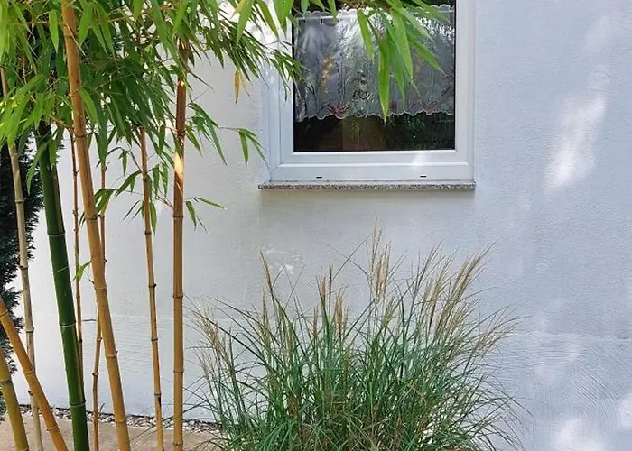 Wald-idyll Vakantiehuis